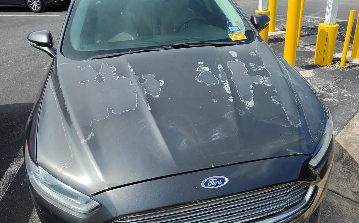 Illustration showing common paint code locations